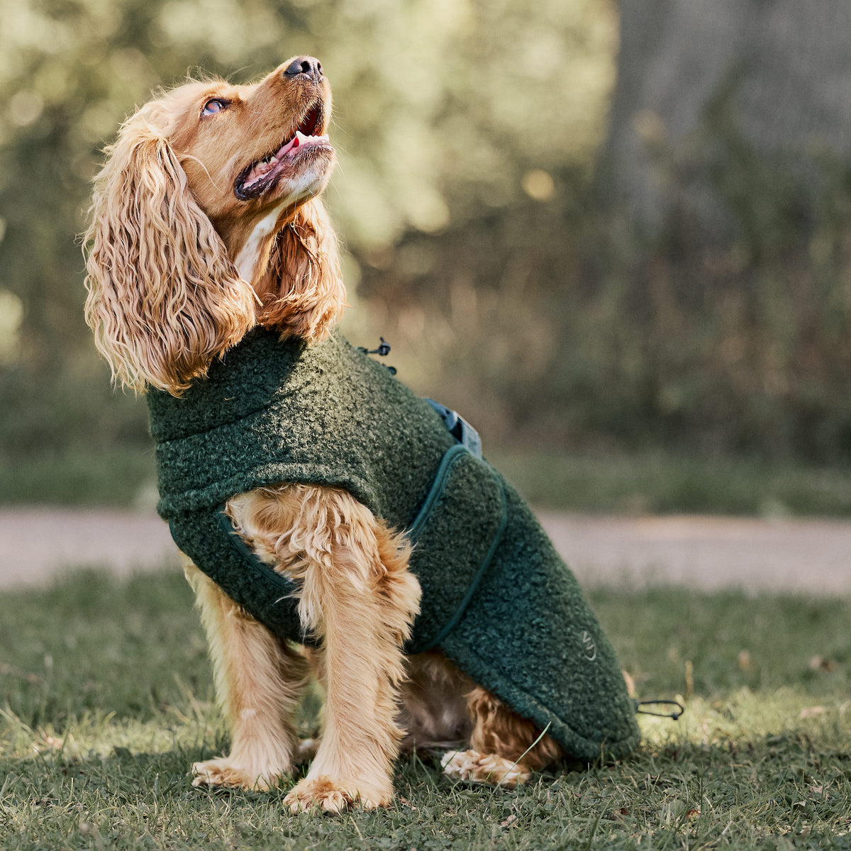 William Walker Cosy fleece dog coat Cozy
