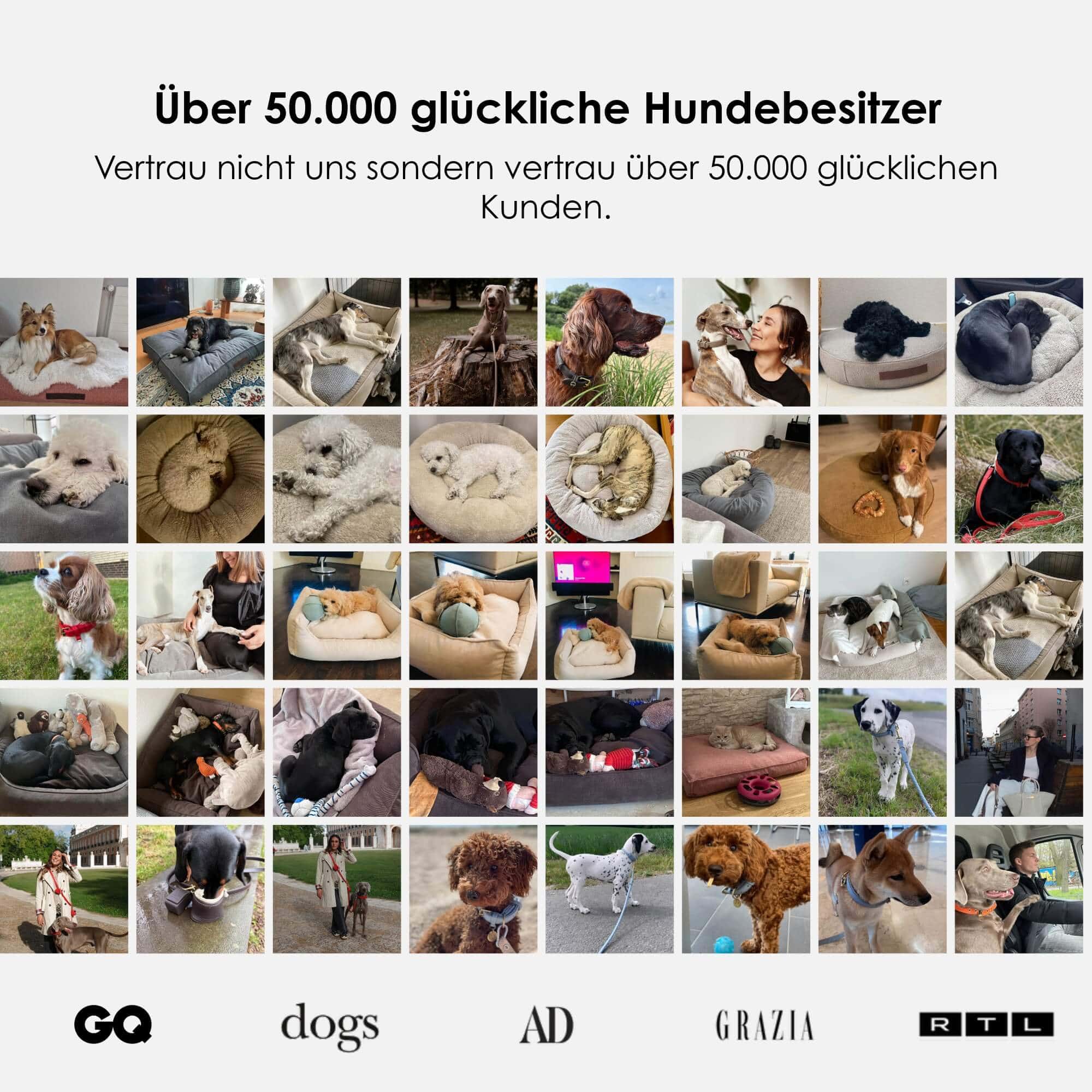 William Walker Orthopädisches Hundebett Luxe