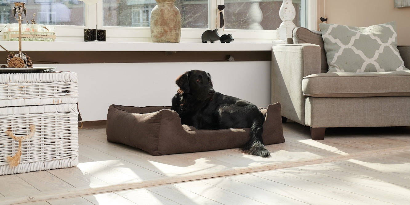 Orthopädische Hundebetten