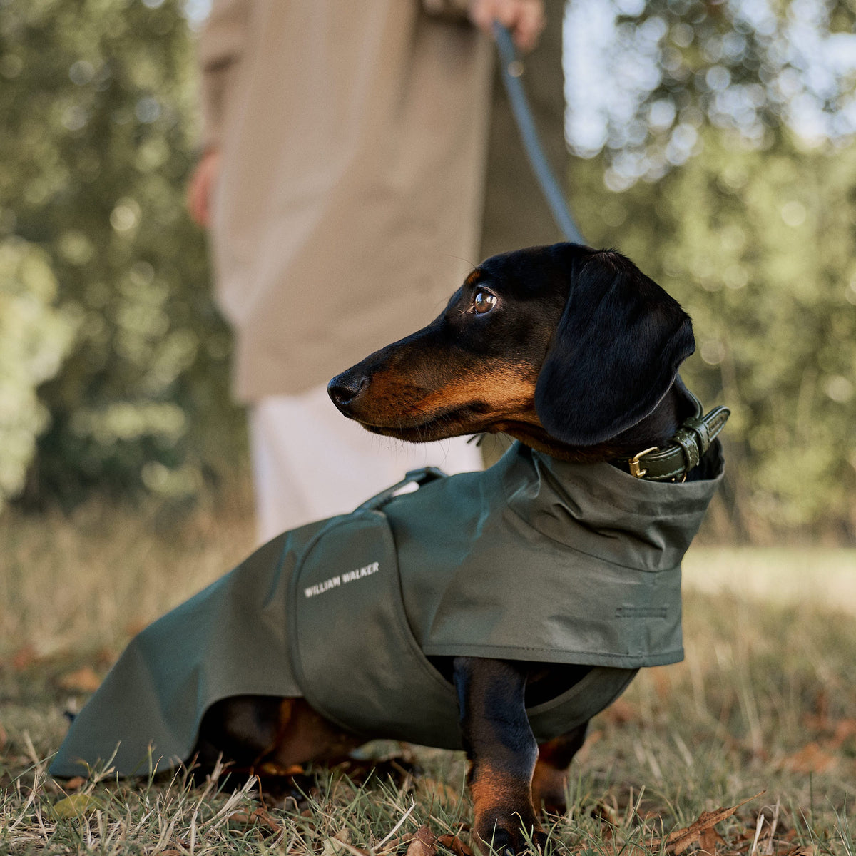 William Walker Waterproof raincoat for dachshunds