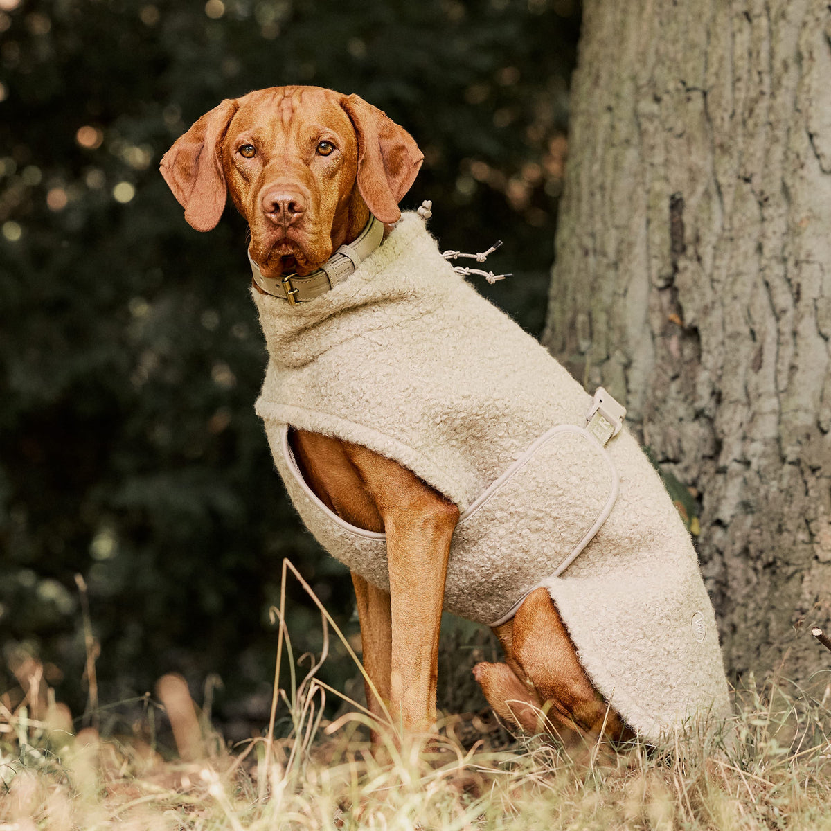William Walker Cosy fleece dog coat Cozy