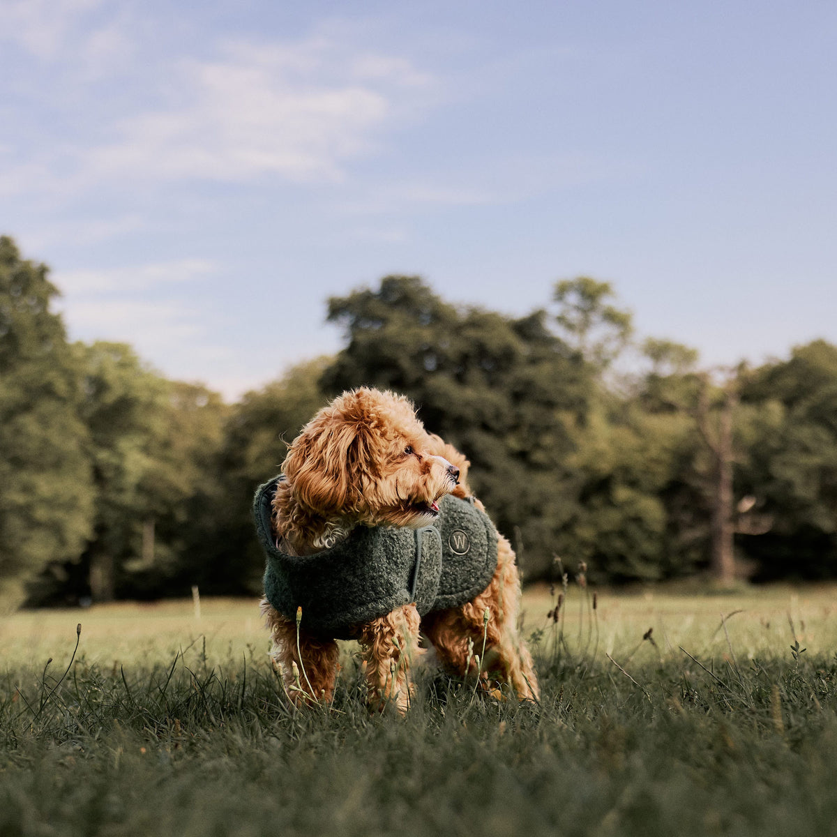William Walker Cosy fleece dog coat Cozy