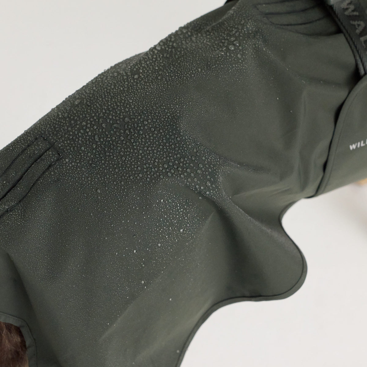 William Walker Waterproof dog raincoat Harbour