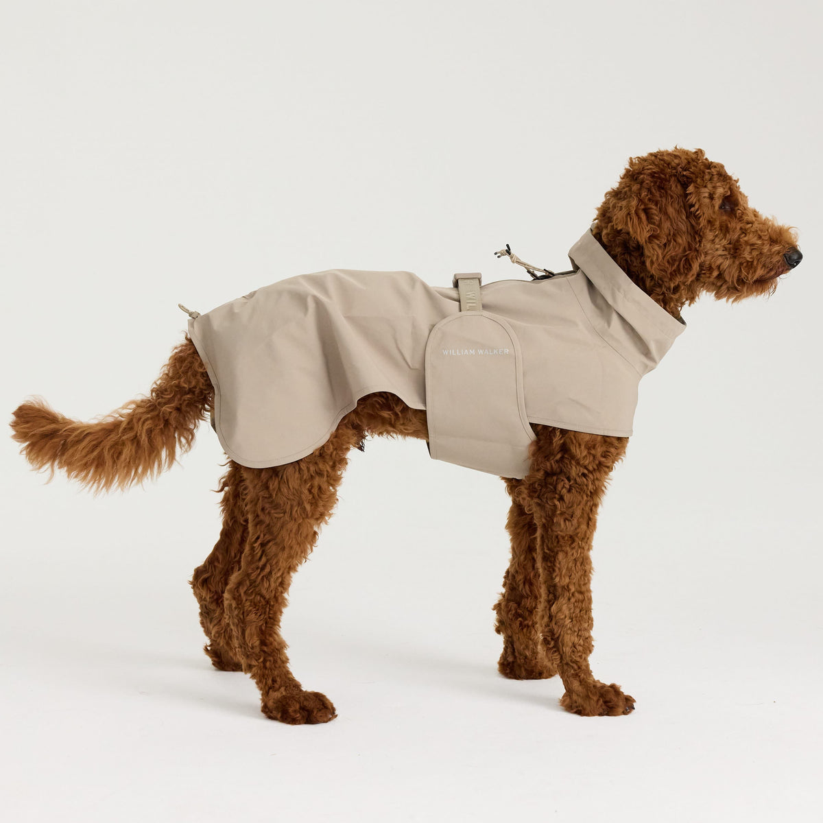 William Walker Waterproof dog raincoat Harbour