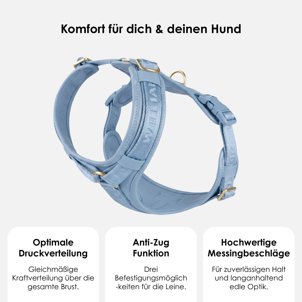William Walker Hochwertiges Leder Y-Hundegeschirr Plain