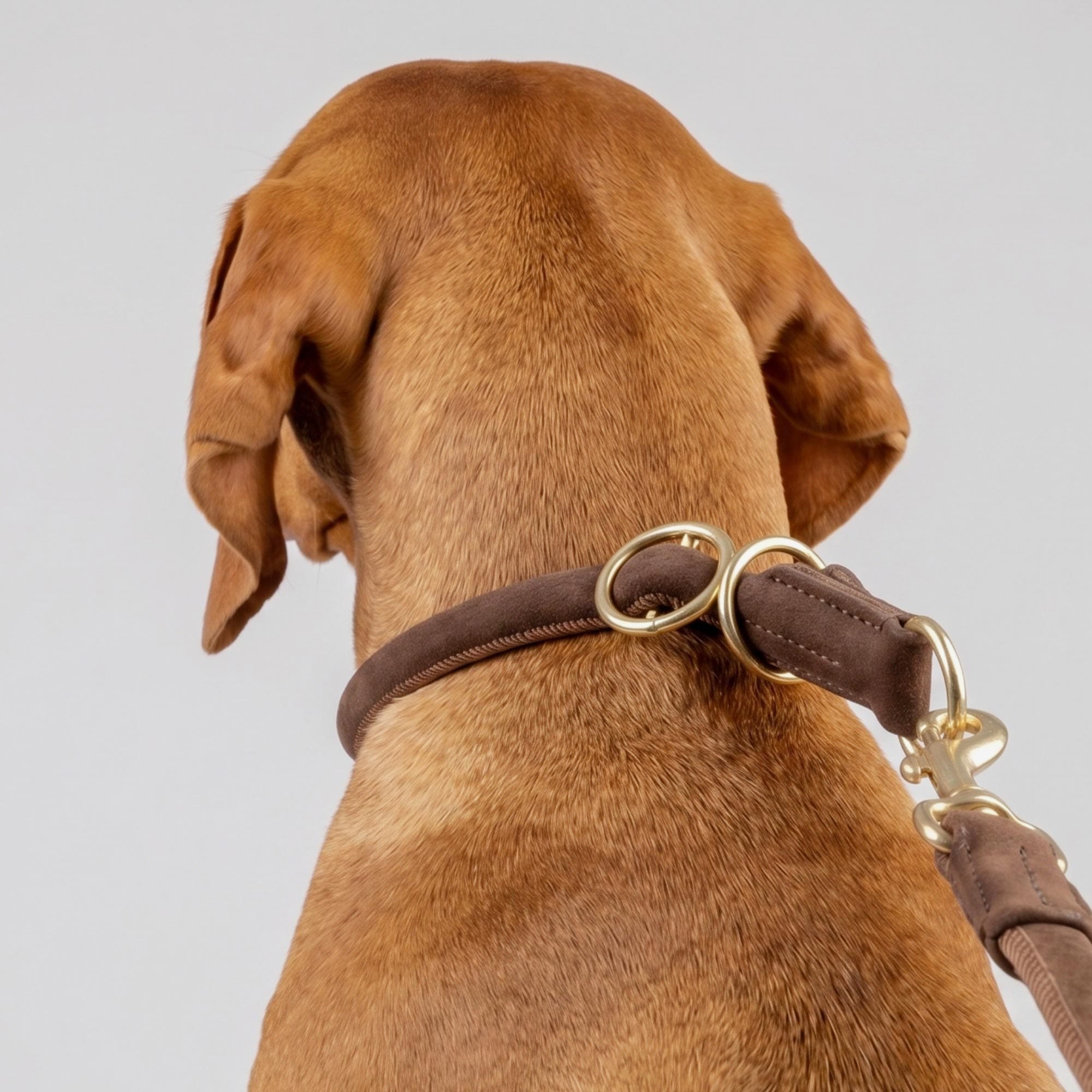 William Walker Rundes Zugstopp-Halsband aus Leder