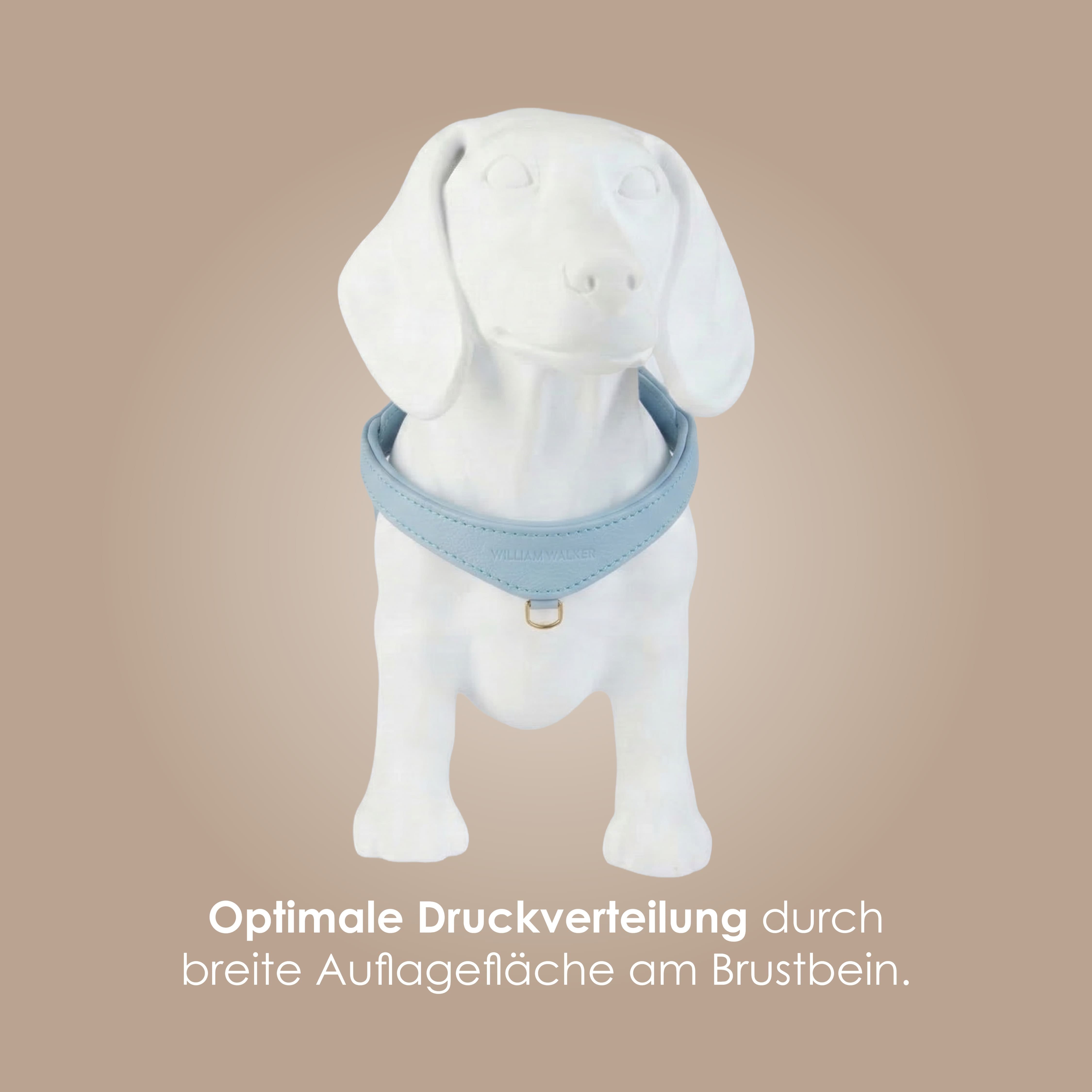 William Walker Step-In Leder Geschirr Pico für kleine Hunde