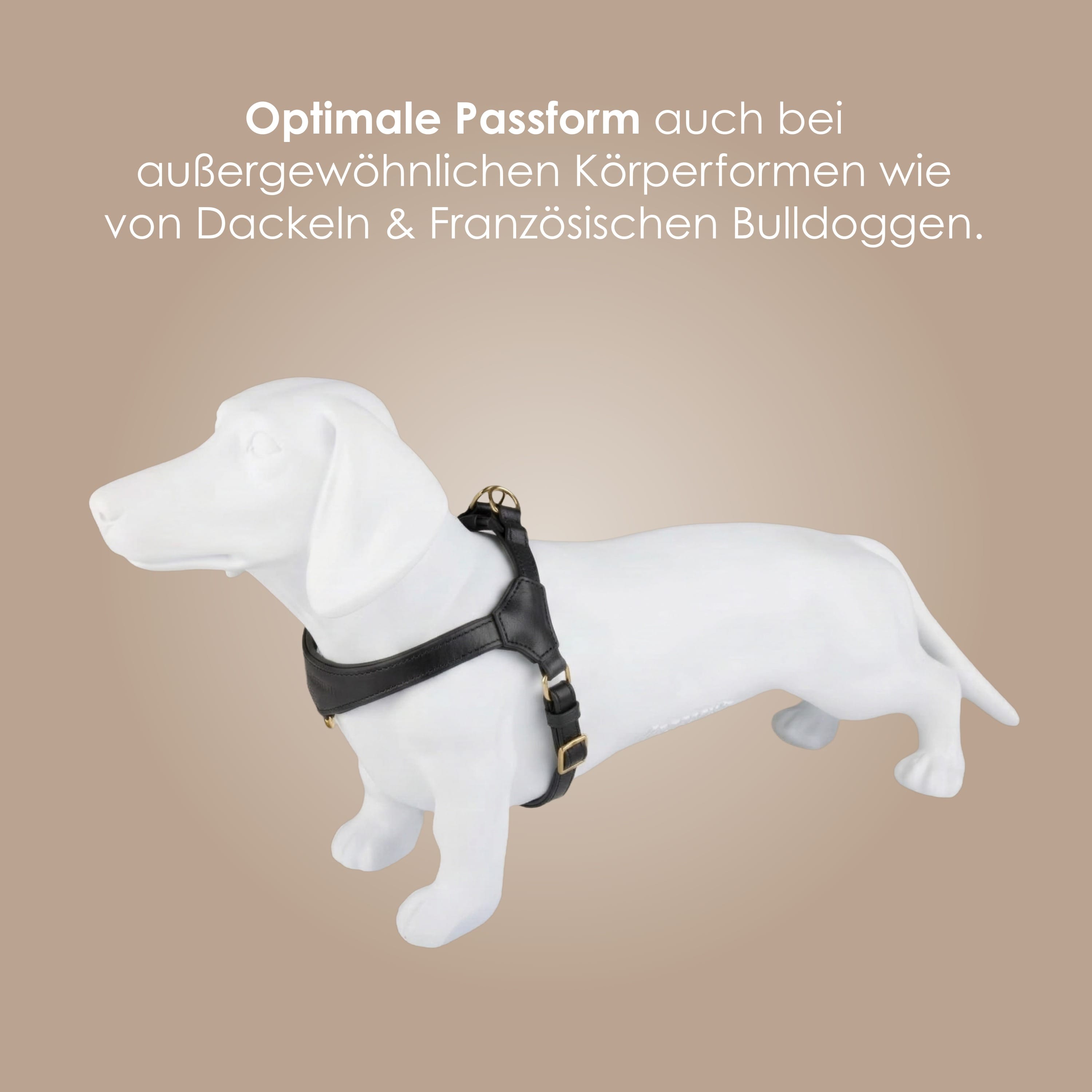 William Walker Step-In Leder Geschirr Pico für kleine Hunde