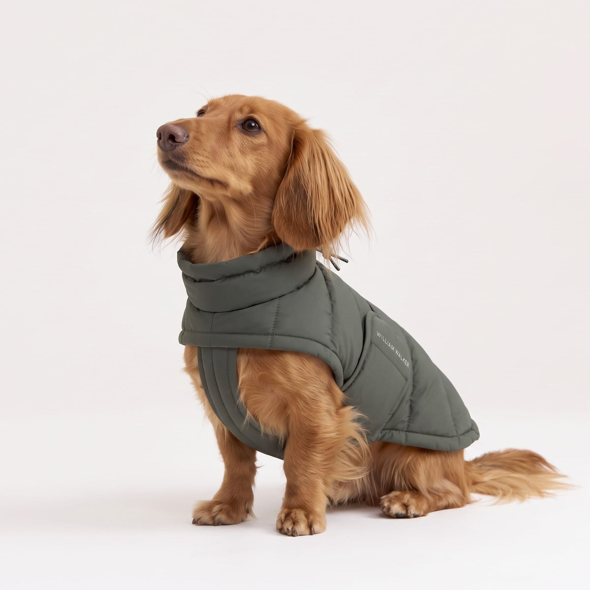 William Walker Dog Winter Coat Alpine for Dachshunds